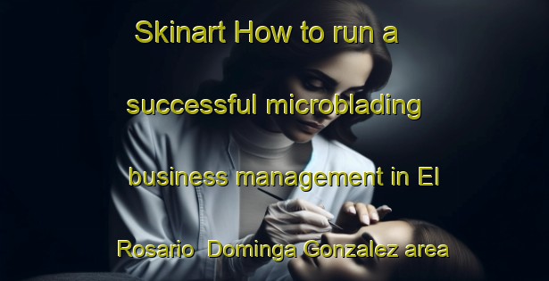 Skinart How to run a successful microblading business management in El Rosario  Dominga Gonzalez area | MicrobladingTraining | MicrobladingClasses | SkinartTraining-Mexico